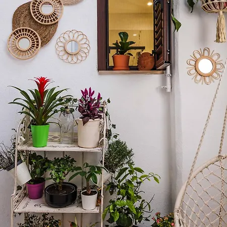 Appartamento Il Giardino Di Sole Bari