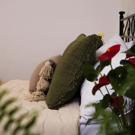 Il Giardino Di Sole Apartman Bari